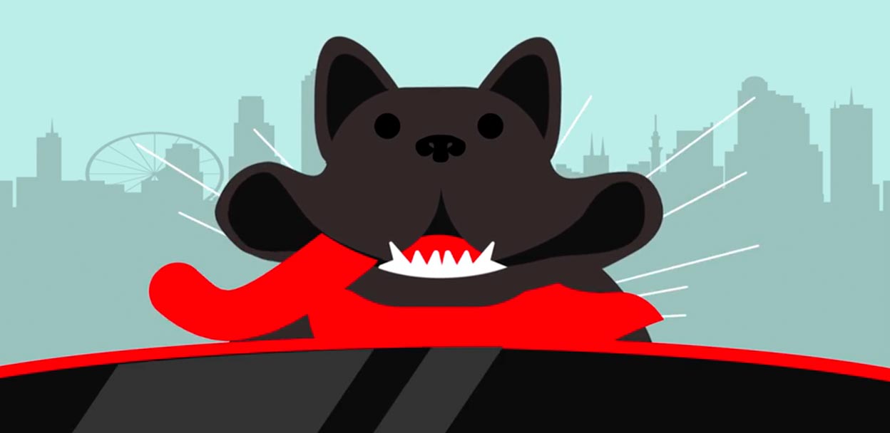 Video showcasing the pet perks at Virgin Hotels