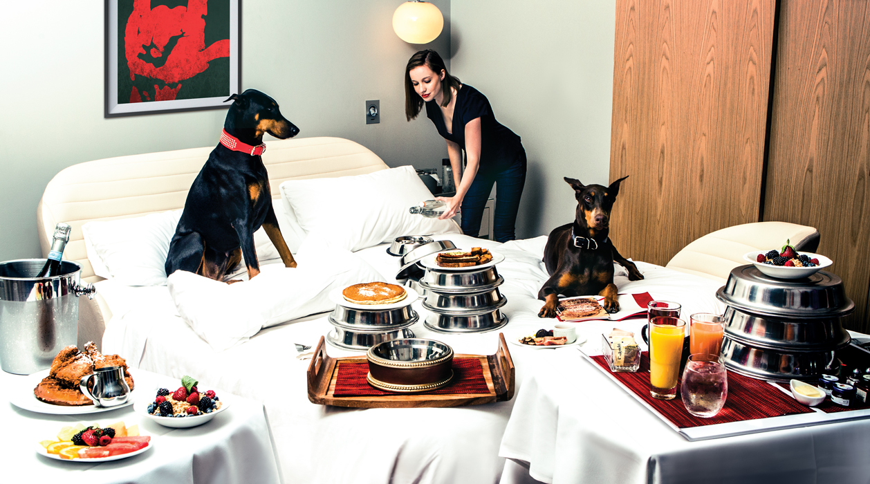 Dogs being pampered with breakfast in bed