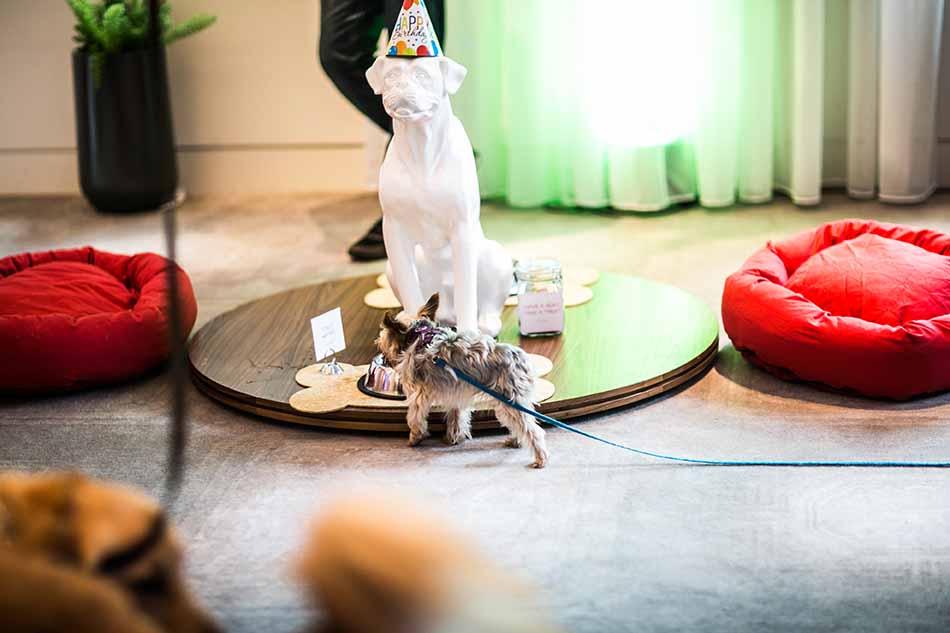 Virgin_PorterParty-2170