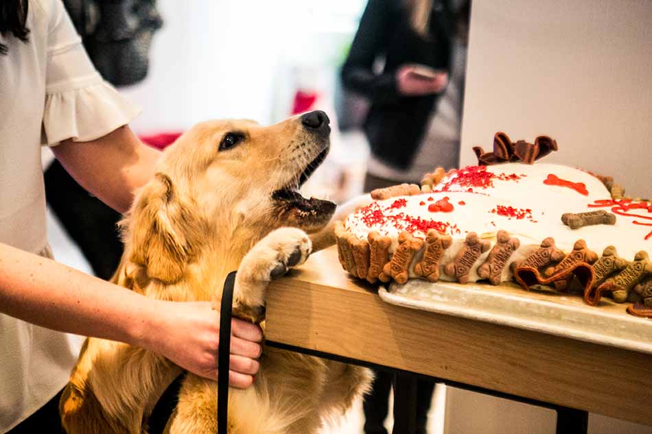 Virgin_PorterParty-2410