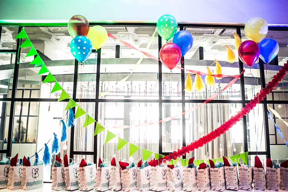 Porter’s Party: A Dog’s Birthday Celebration