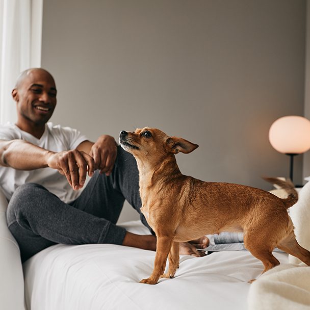 Pet Perks at VH Nashville