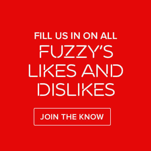 Pet friendly hotel in New Orleans