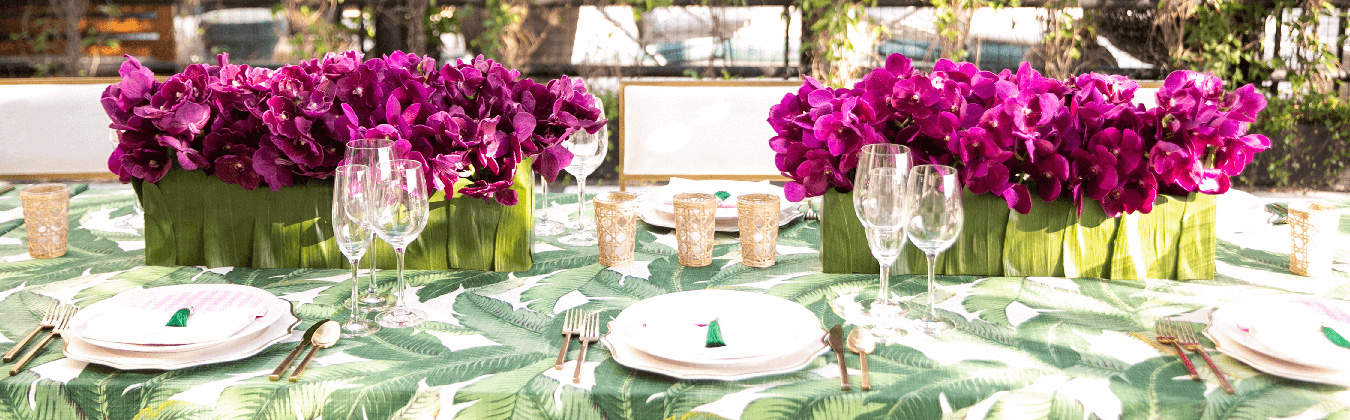 Social Occasion in NYC