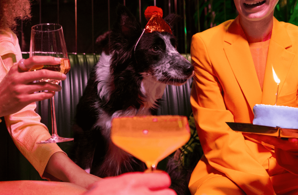 The Ulti-Mutt Vacation